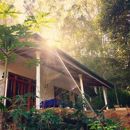 Secret Nest Homestay Ella Εξωτερικό φωτογραφία