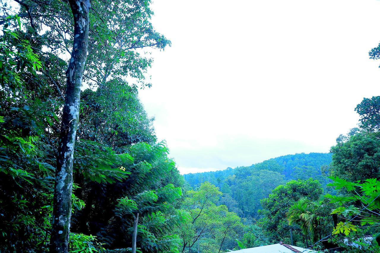 Secret Nest Homestay Ella Εξωτερικό φωτογραφία