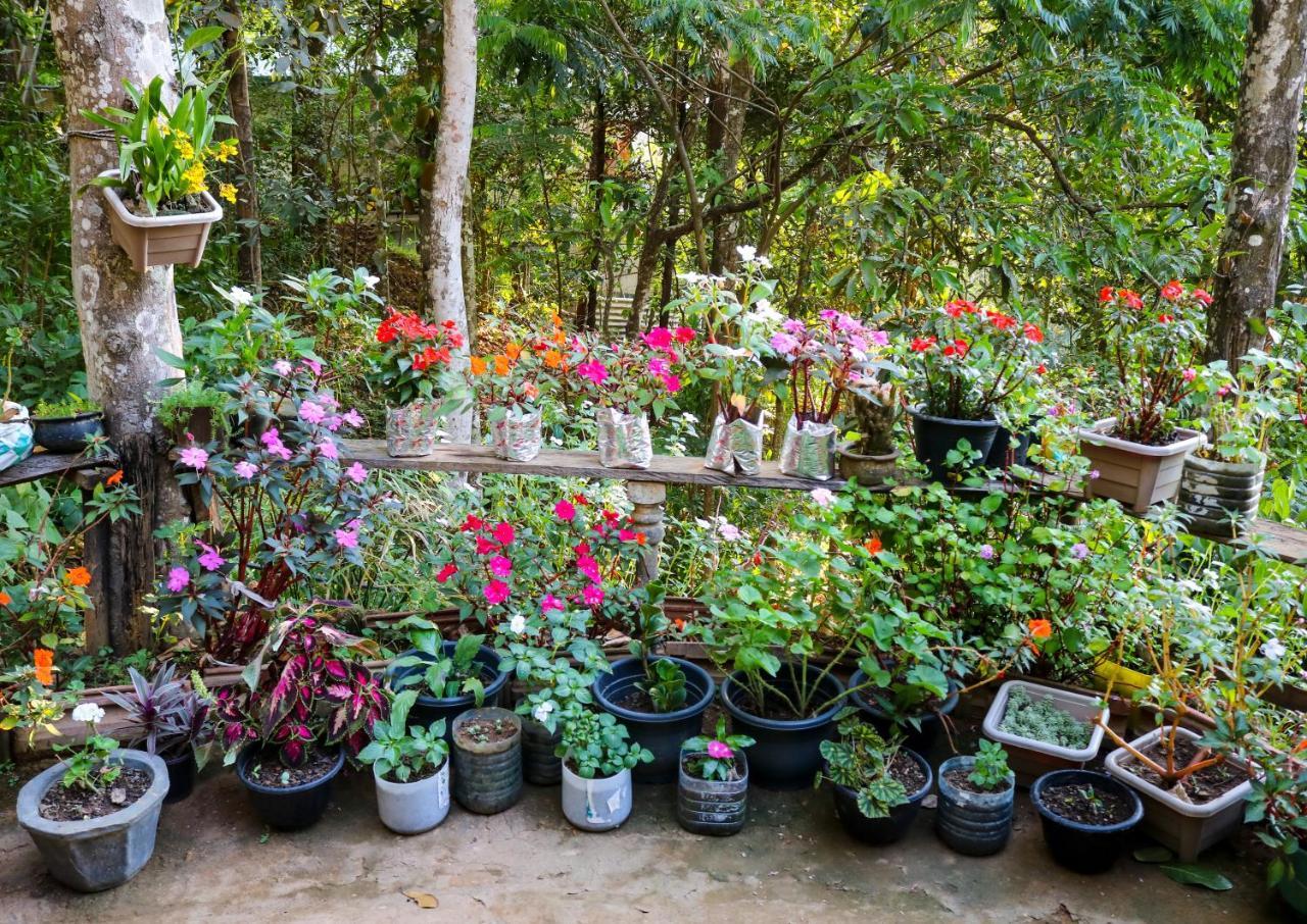 Secret Nest Homestay Ella Εξωτερικό φωτογραφία