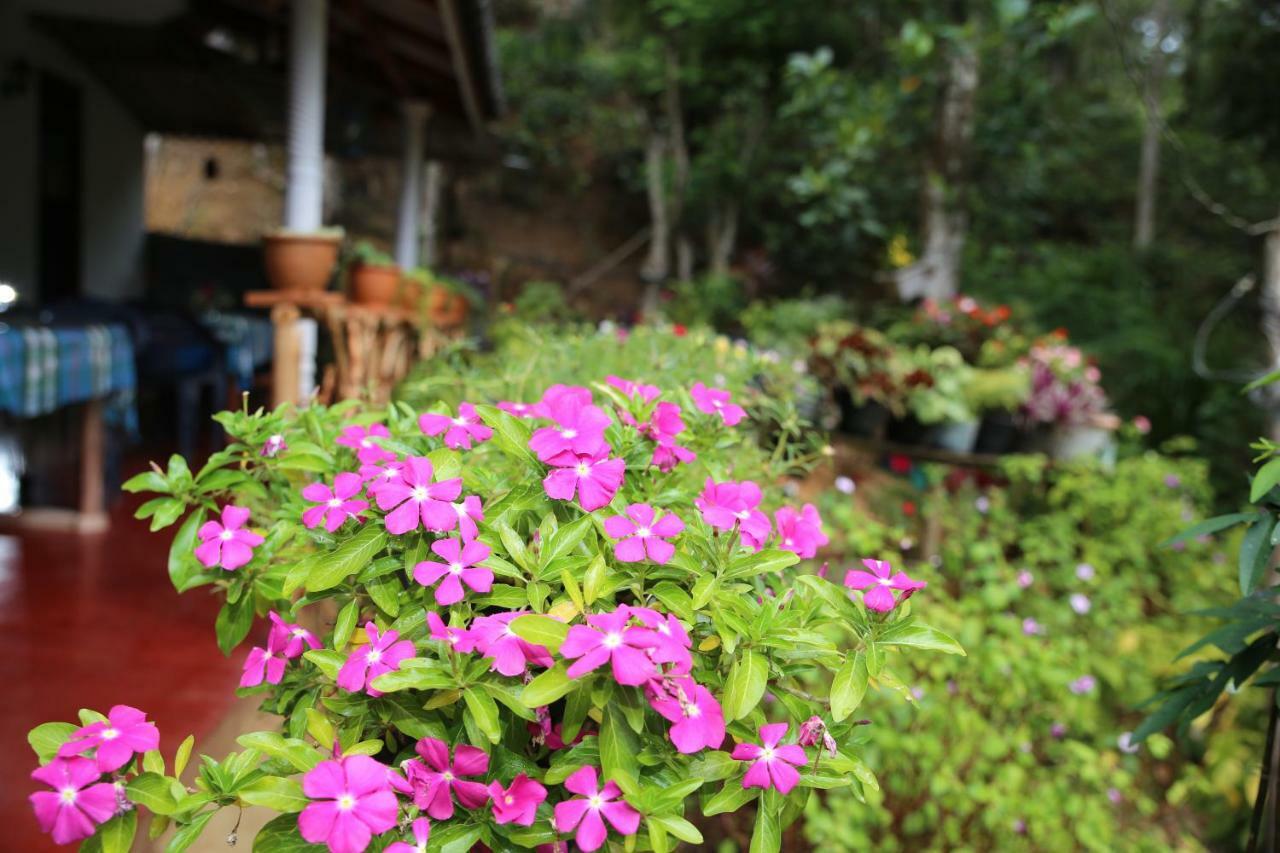 Secret Nest Homestay Ella Εξωτερικό φωτογραφία